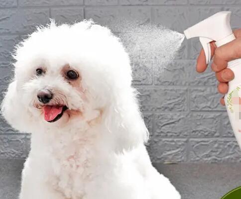 進口寵物用品報關(guān)流程步驟如何？(寵物用品進口清關(guān)流程)