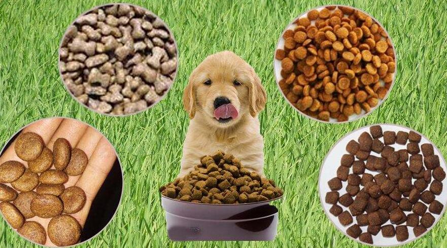 寵物食品進(jìn)口關(guān)稅稅率（ 國(guó)外進(jìn)口寵物食品要不要交關(guān)稅）